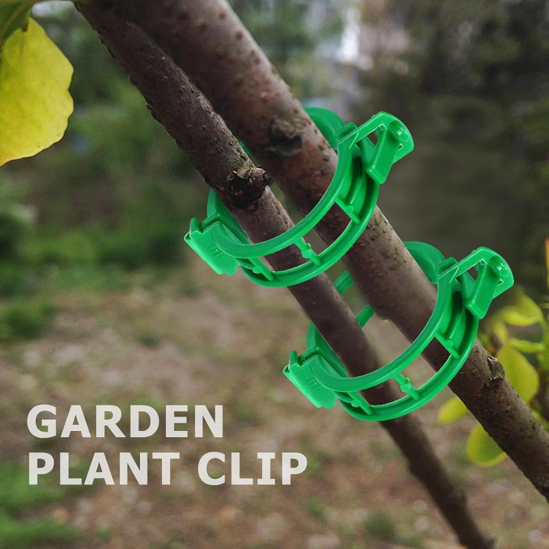 Reusable Plastic Plant Support - Vine Climbing Plastic avaliação e preço