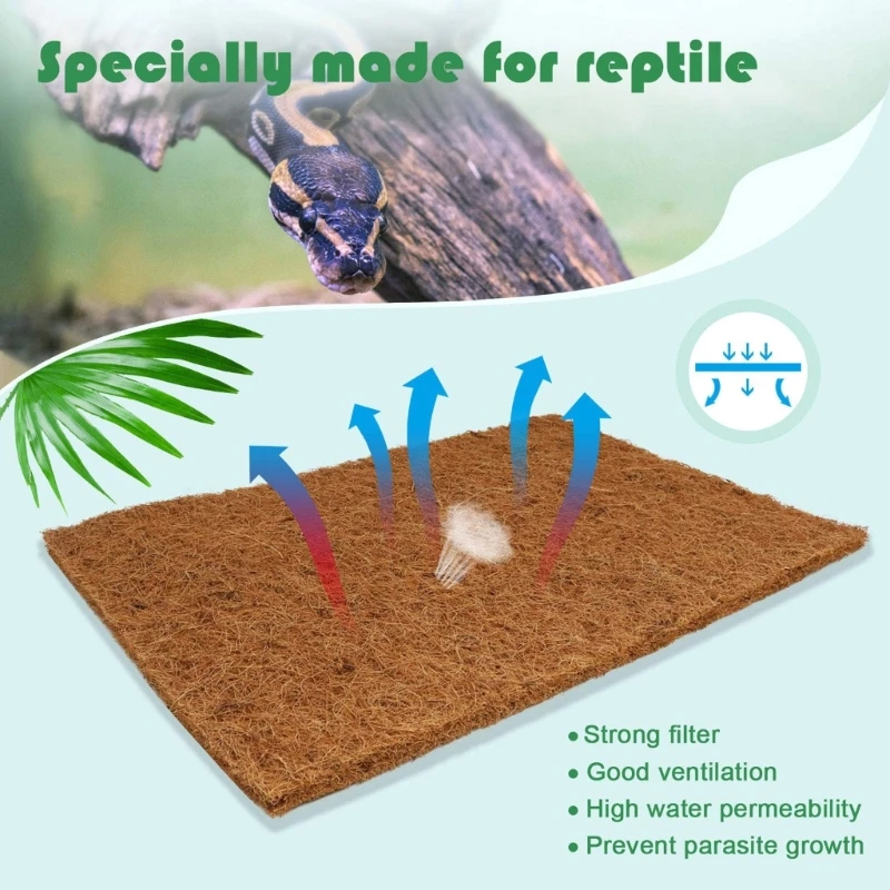 Pack Of 4 Natural Coconut Fibe - Substrate Coconut Fiber avaliação e preço