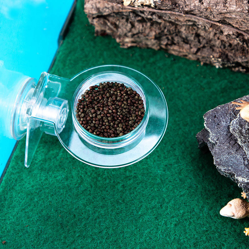 Acrylic Crawling Pet Feeding W - Water Dish Reptile avaliação e preço