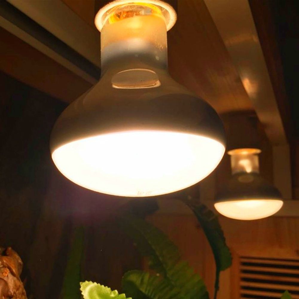 Lizard Heater Temperature Cont - Basking Bulb Halogen avaliação e preço