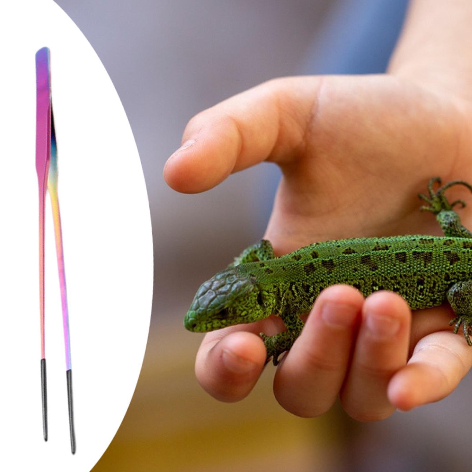 Terrarium Reptile Feeder Tongs - Feeding Tong Stainless avaliação e preço