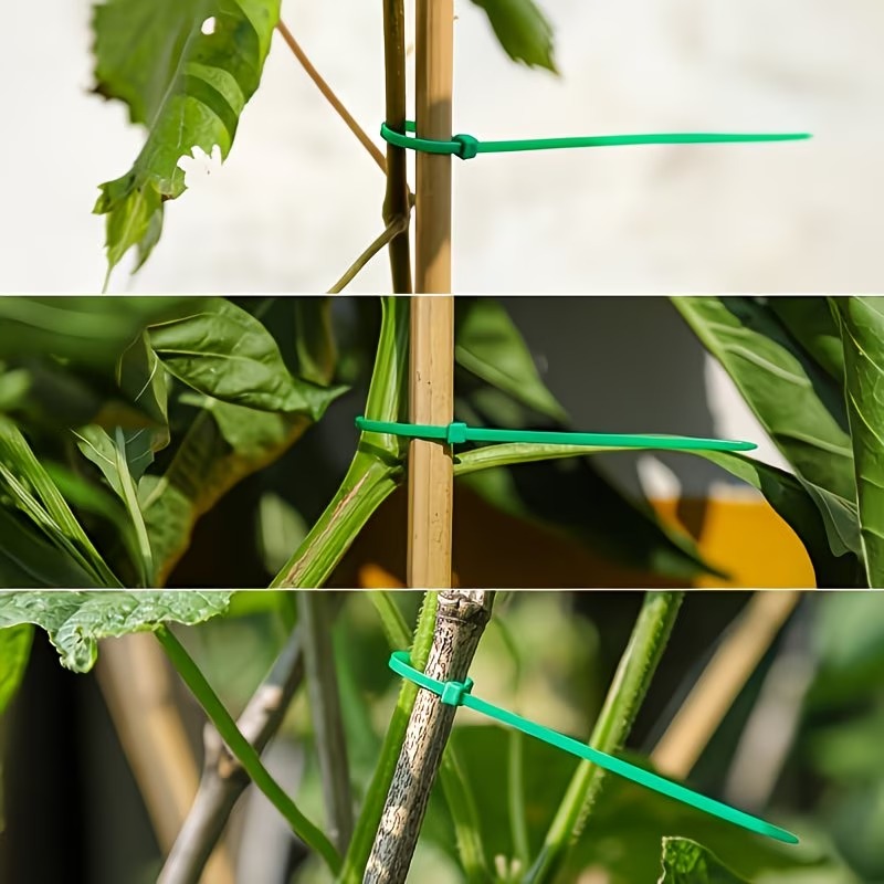 50-300pcs Adjustable Plastic P - Vine Climbing Plastic avaliação e preço