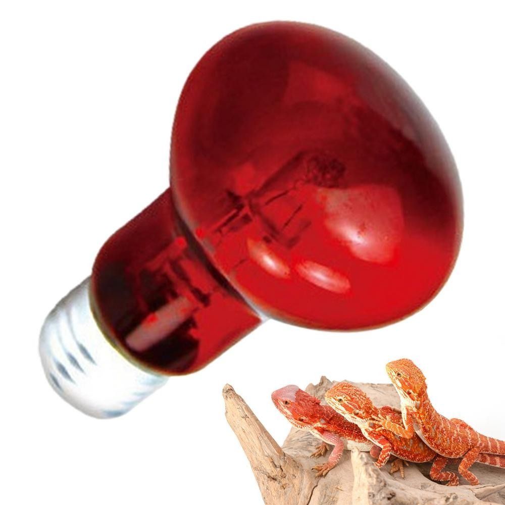 Infrared Led Pet Heating Lamp  - Ceramic Heat Emitter avaliação e preço
