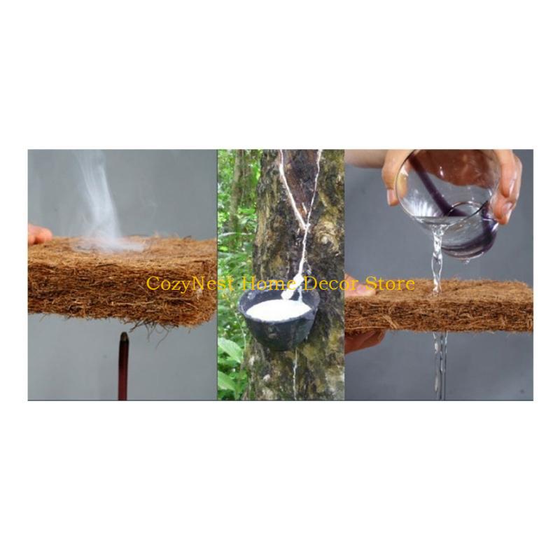 92MF Terrariums Substrate Line - Substrate Coconut Fiber avaliação e preço