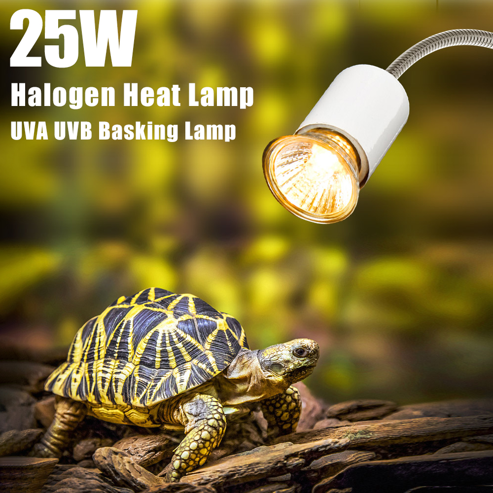 25W Halogen Heat Lamp UVA UVB  - Basking Bulb Halogen avaliação e preço