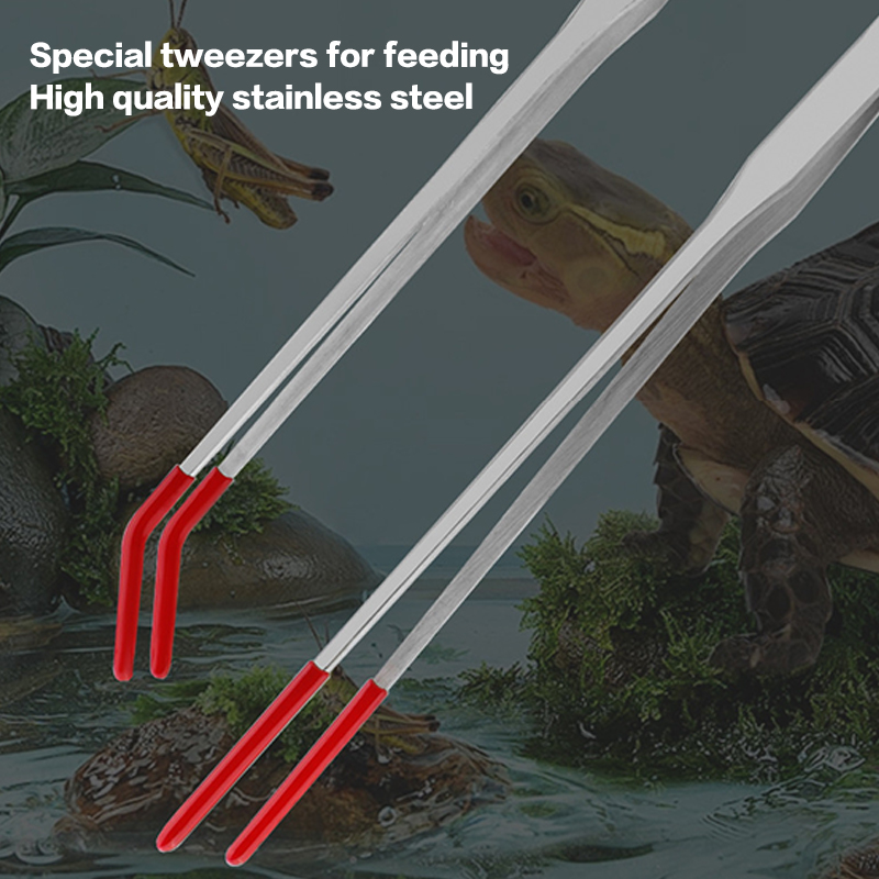 Stainless Steel Reptile With R - Feeding Tong Stainless avaliação e preço