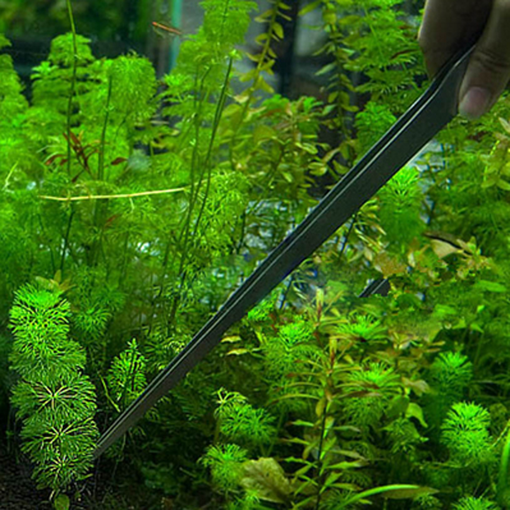 10.5 Inch Reptile Feeding Tong - Feeding Tong Stainless avaliação e preço