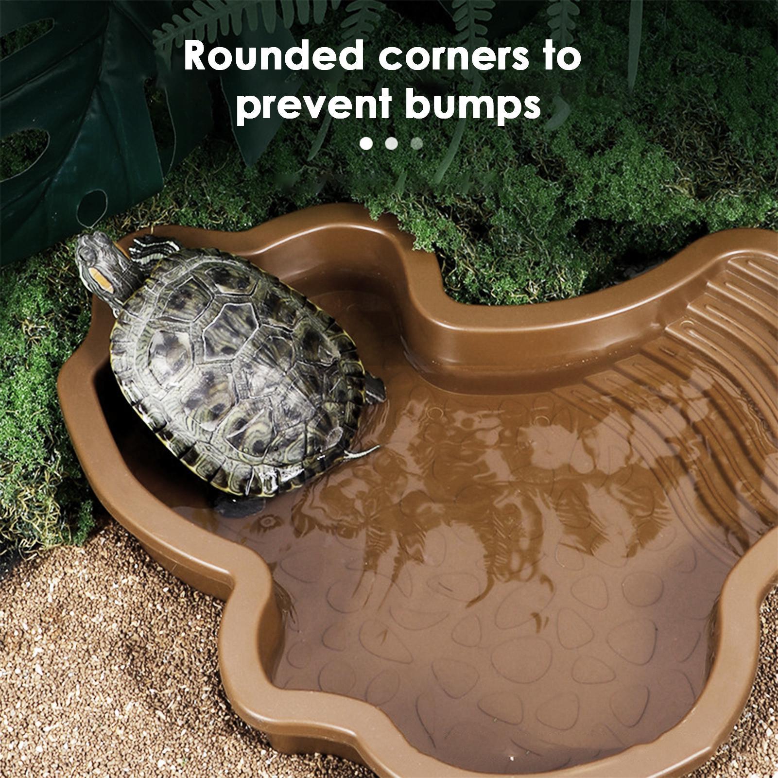 Reptile Bathing Pool with Ramp - Water Dish Reptile avaliação e preço