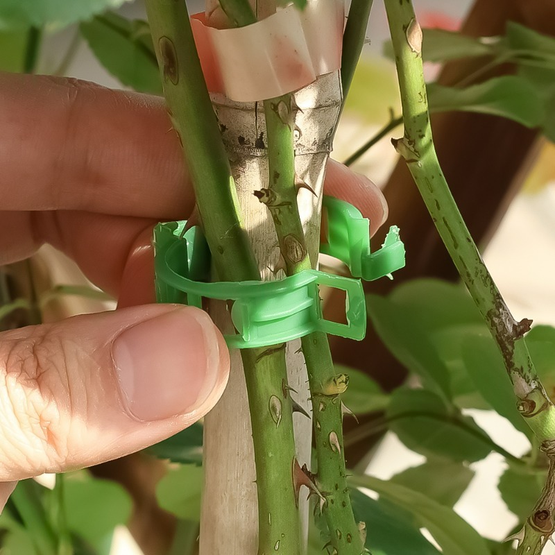 10-500Pcs Garden Plant Support - Vine Climbing Plastic avaliação e preço