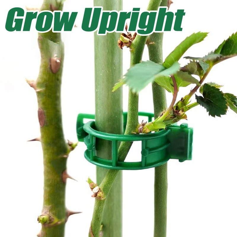 10-500Pcs Garden Plant Support - Vine Climbing Plastic avaliação e preço