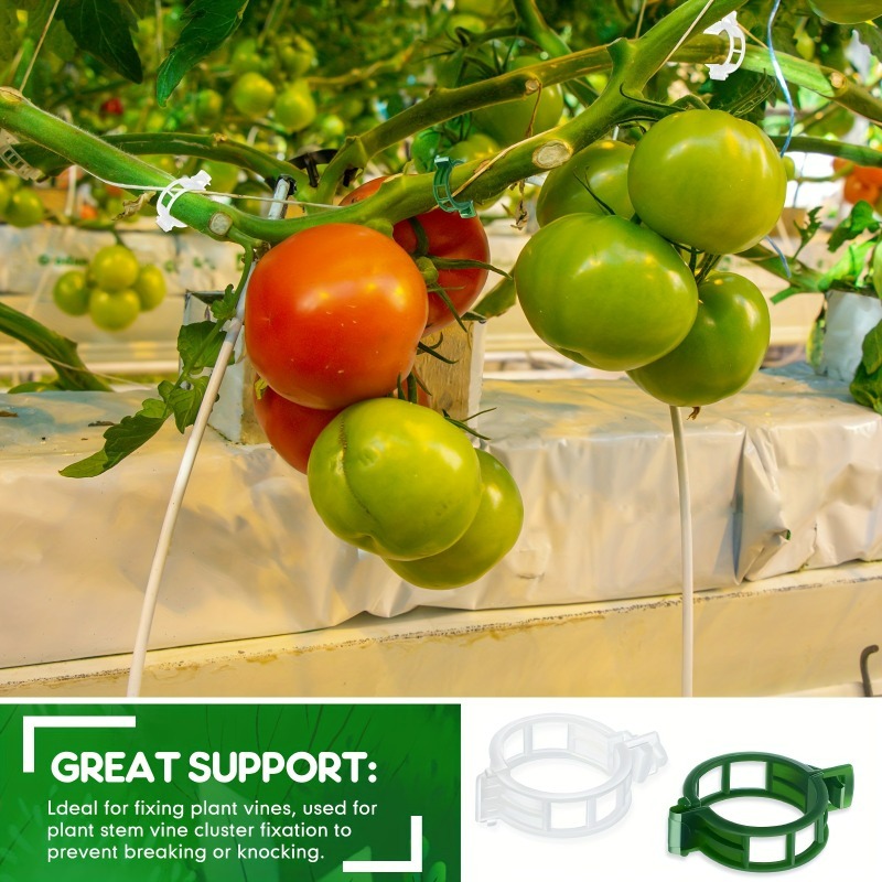 10-500Pcs Garden Plant Support - Vine Climbing Plastic avaliação e preço