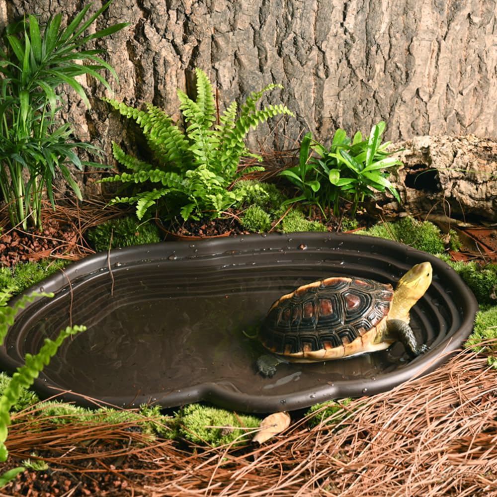 Reptile Bathing Dish Amphibian - Water Dish Reptile avaliação e preço