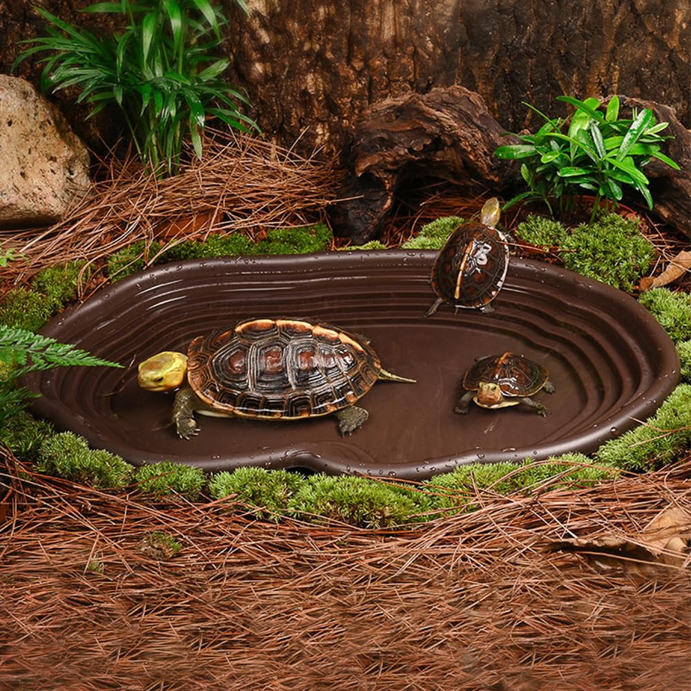 Reptile Bathing Dish Amphibian - Water Dish Reptile avaliação e preço