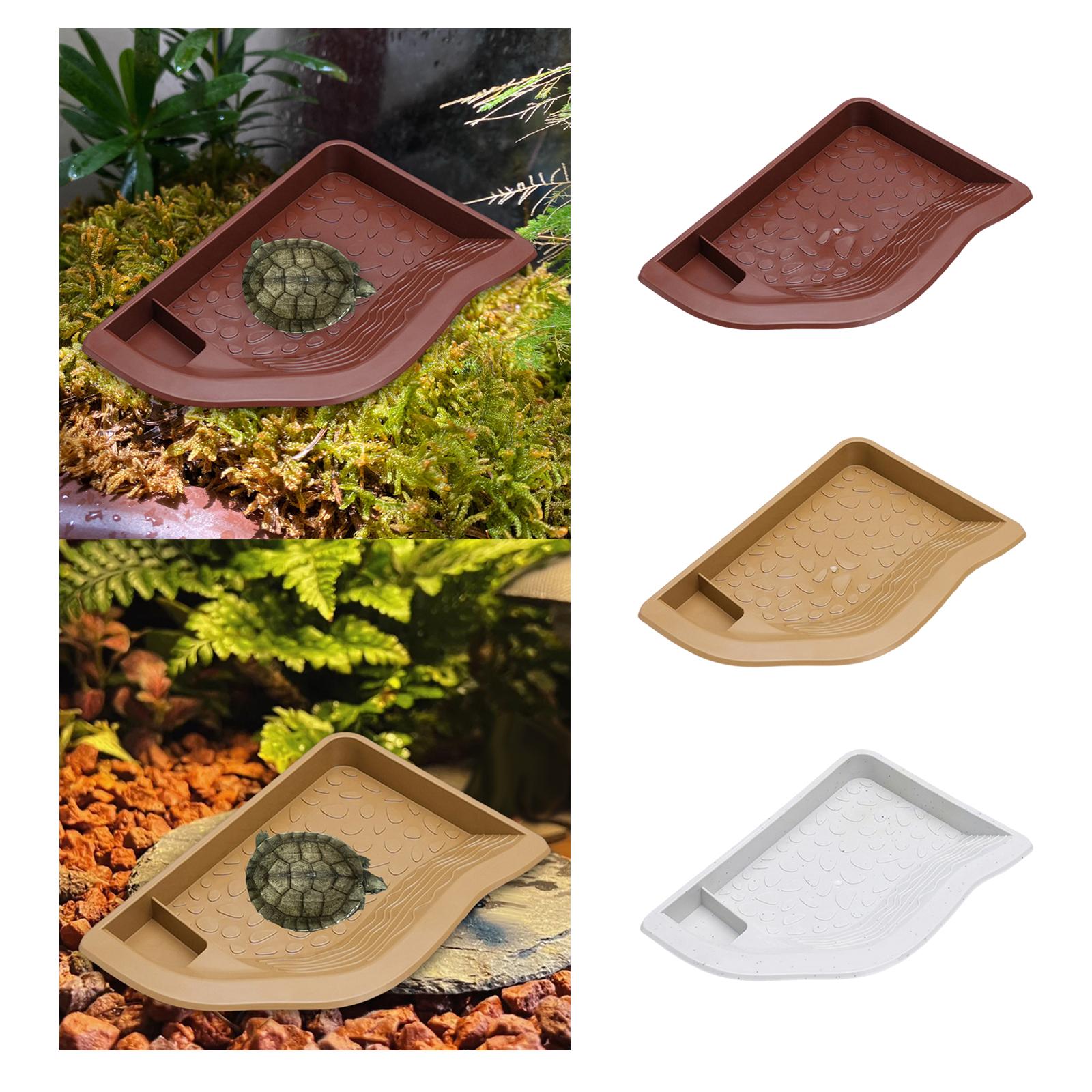 Reptile Pool Water Dish, Torto - Water Dish Reptile avaliação e preço