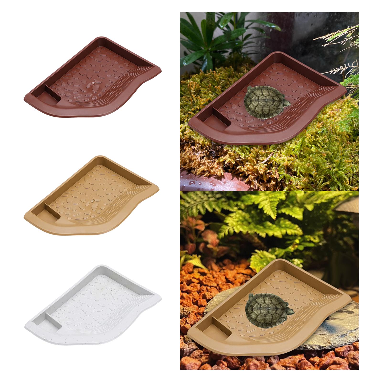 Reptile Pool Water Dish, Torto - Water Dish Reptile avaliação e preço