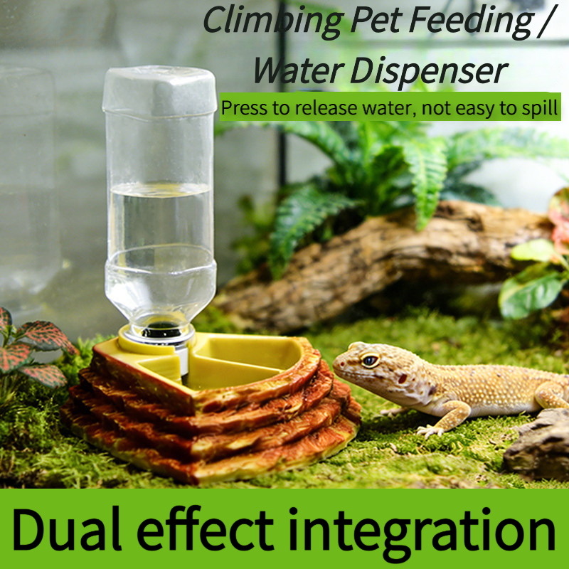2 in 1 Reptile Water Cup Feede - Water Dish Reptile avaliação e preço