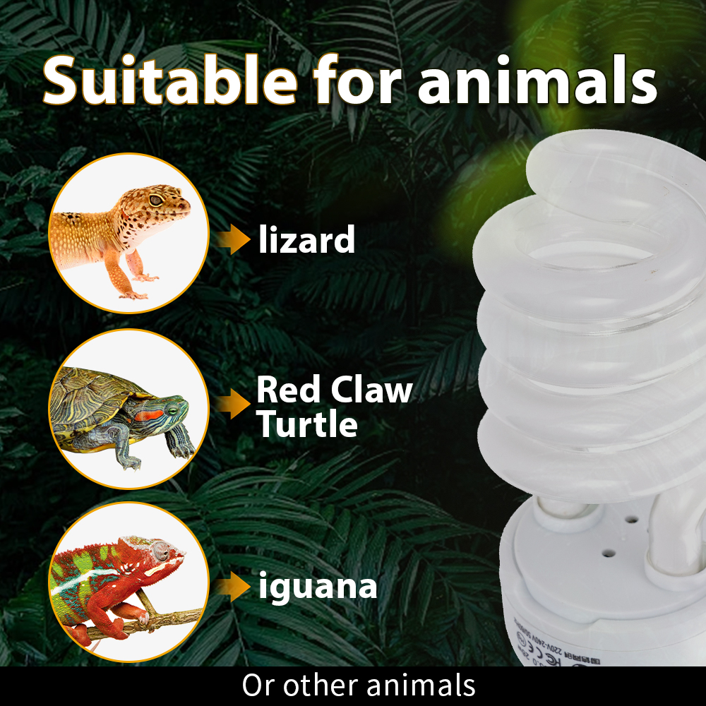 26W Pet Box Lamp Calcium Suppl - Calcium Powder Reptile avaliação e preço