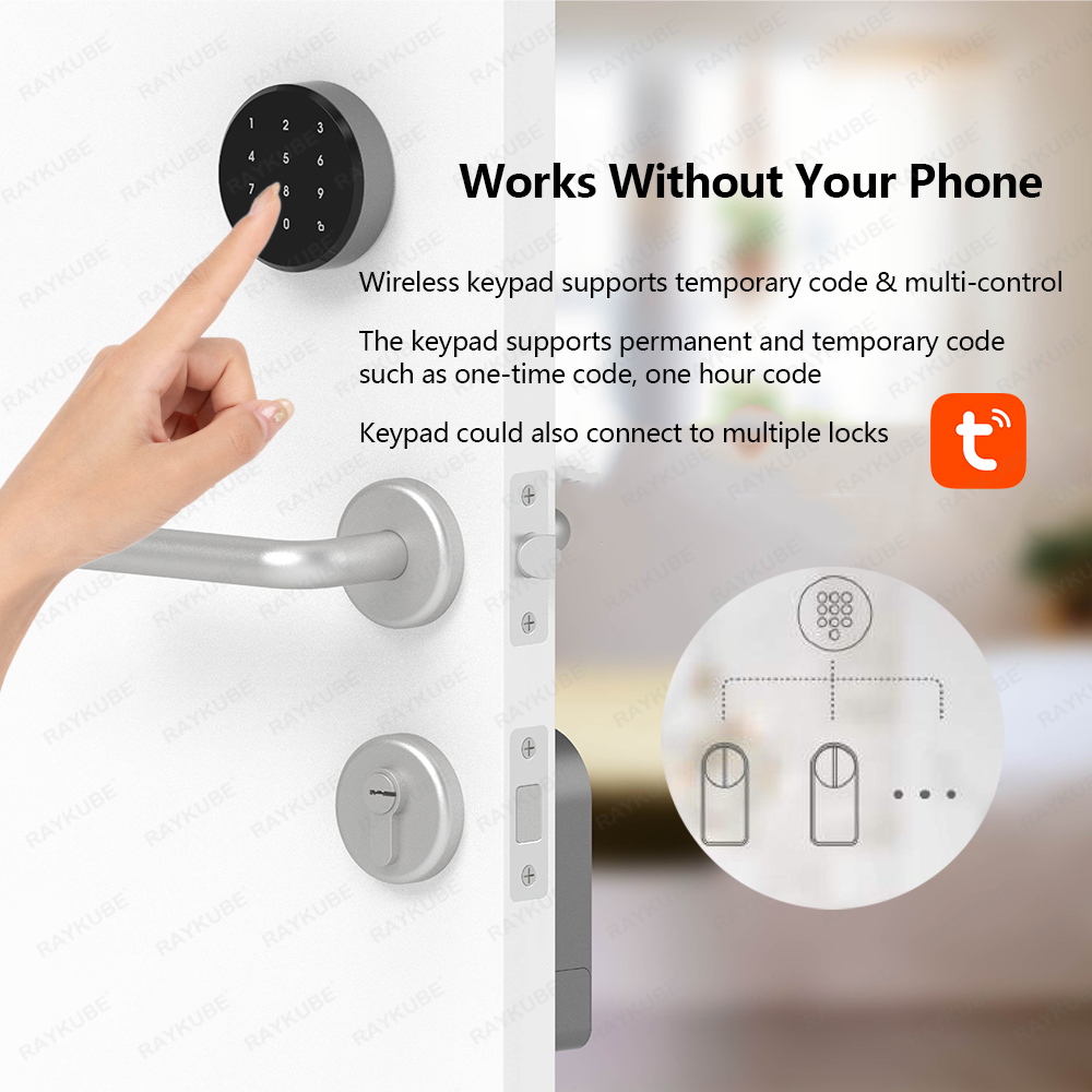RAYKUBE A1 Pro Tuya BEL Smart  - Glass Door Hinge avaliação e preço