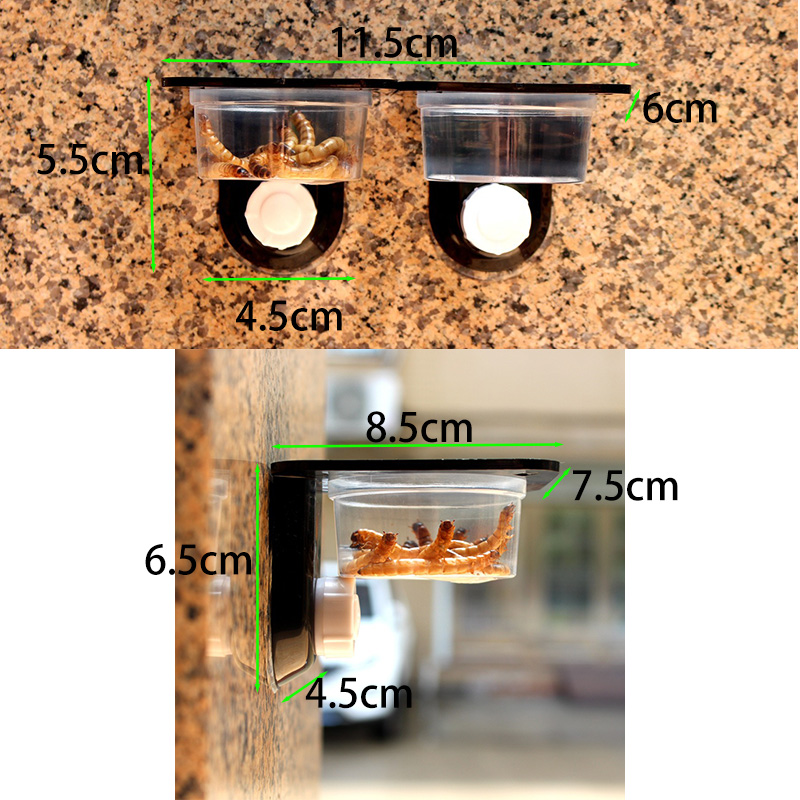 Reptile Tank Accessories Insec - Water Dish Reptile avaliação e preço