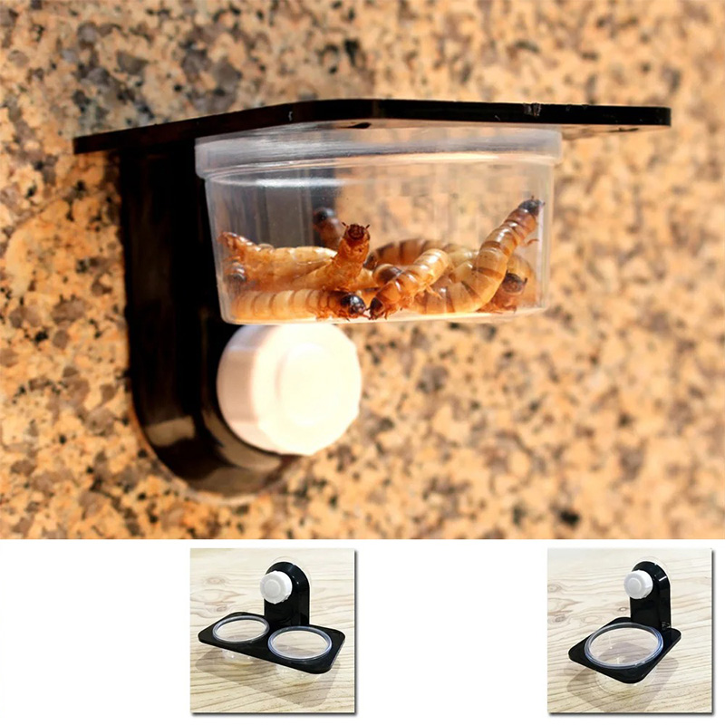 Reptile Tank Accessories Insec - Water Dish Reptile avaliação e preço