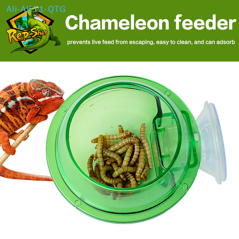 HOT! Arboreal Reptile Live Ant - Water Dish Reptile avaliação e preço