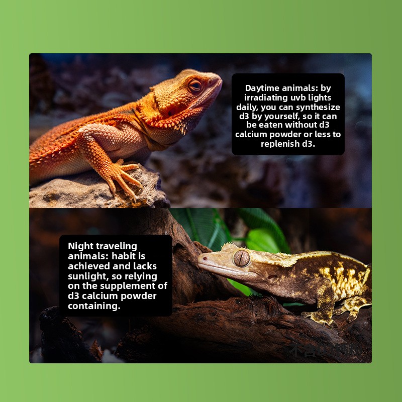 Reptizoo Reptile Calcium Powde - Calcium Powder Reptile avaliação e preço