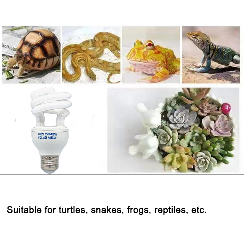E27 13W/26W Reptile Uvb Lamp   - Calcium Powder Reptile avaliação e preço