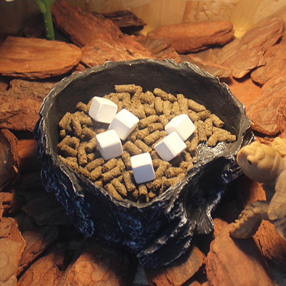 6Pcs Tortoise Tank Calcium Cub - Calcium Powder Reptile avaliação e preço