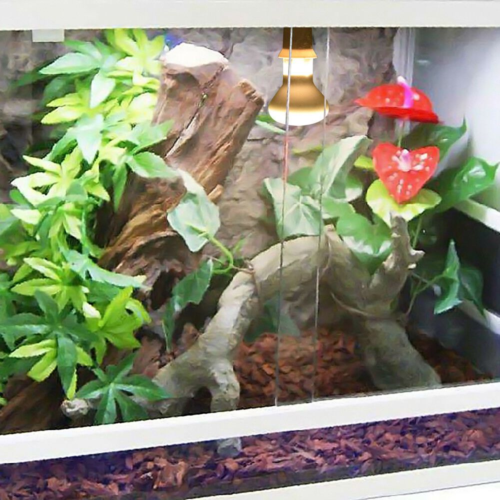 Turtle Temperature Controller  - Basking Bulb Halogen avaliação e preço