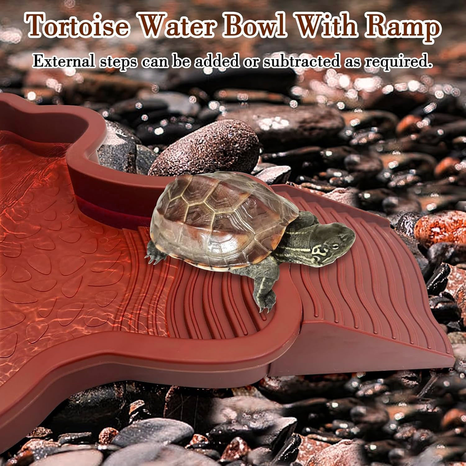 Reptile Bathing Pool with Ramp - Water Dish Reptile avaliação e preço