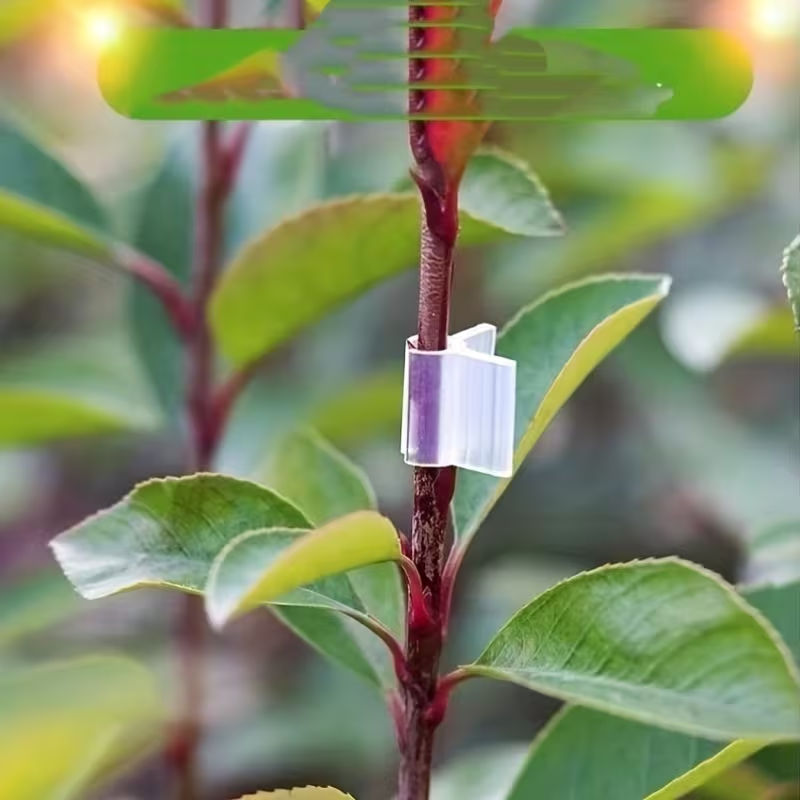 50pcs Agriculture Grafting Cli - Vine Climbing Plastic avaliação e preço