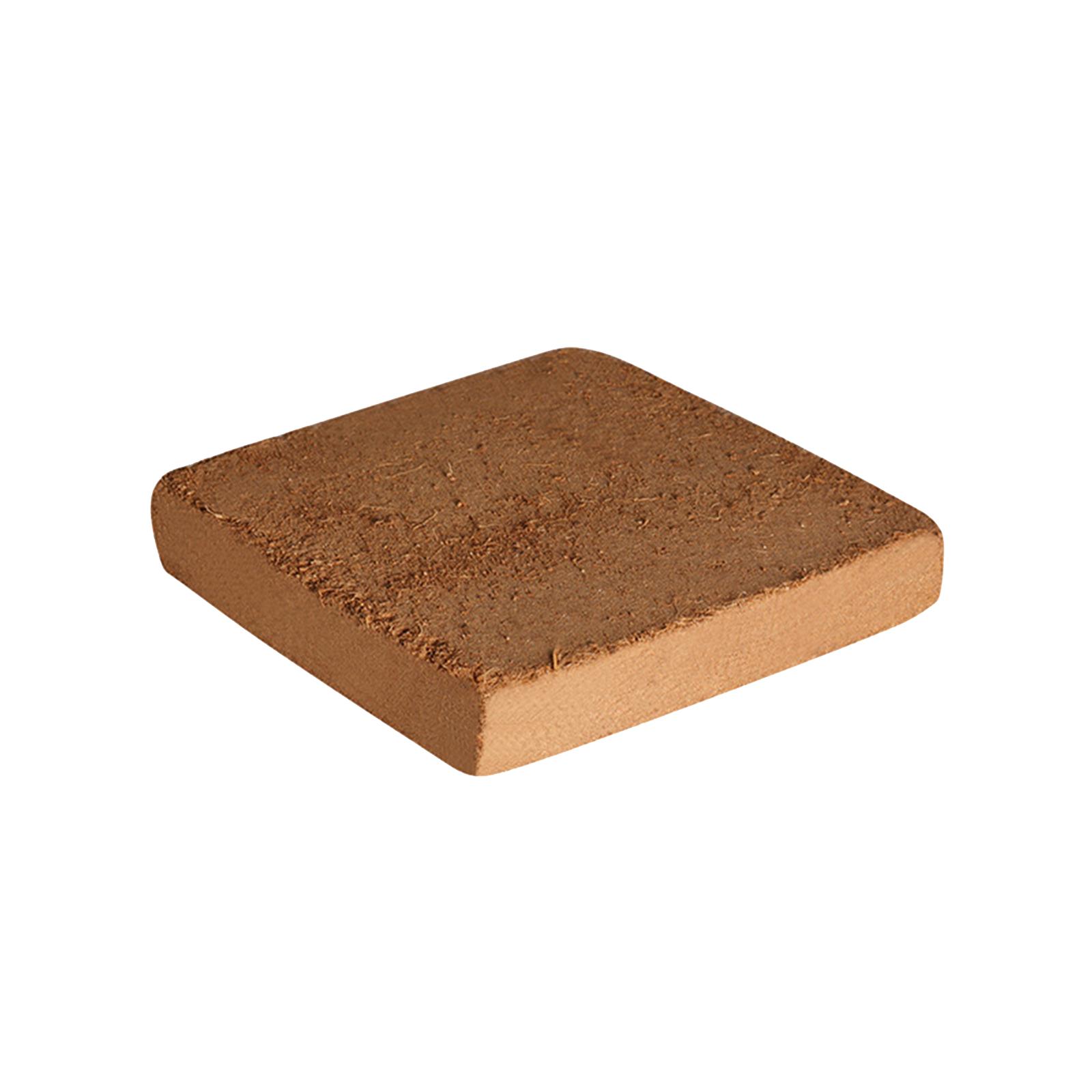 Soil Coconut Fibre Terrarium S - Substrate Coconut Fiber avaliação e preço
