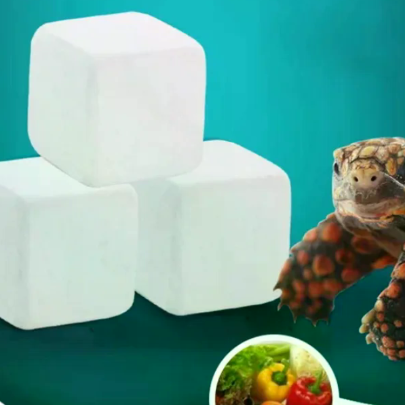 Slow Release Calcium Mineral B - Calcium Powder Reptile avaliação e preço