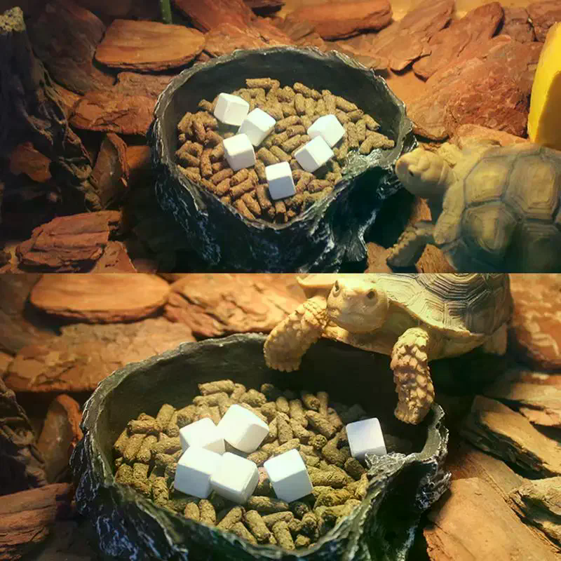 Slow Release Calcium Mineral B - Calcium Powder Reptile avaliação e preço