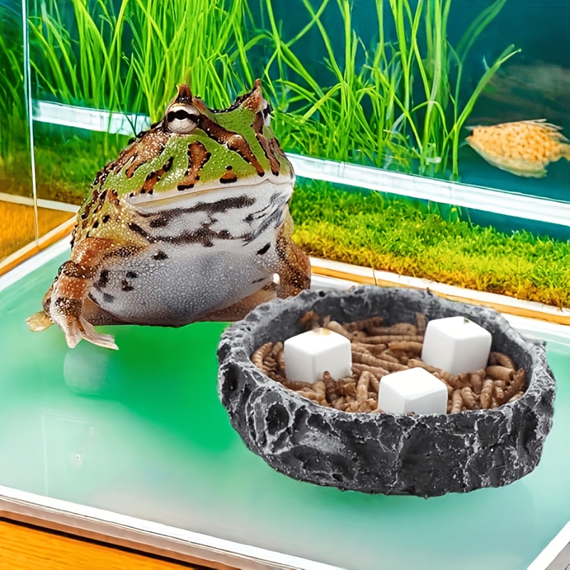 6 Pcs Fish Tank Calcium Block  - Calcium Powder Reptile avaliação e preço