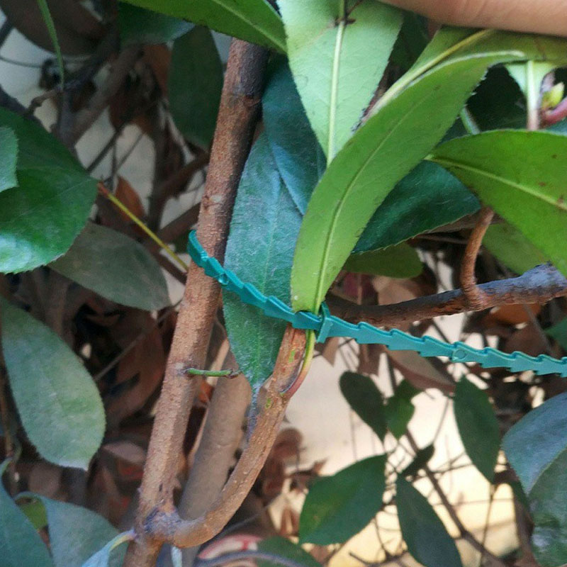 13cm Adjustable Plastic Plant  - Vine Climbing Plastic avaliação e preço