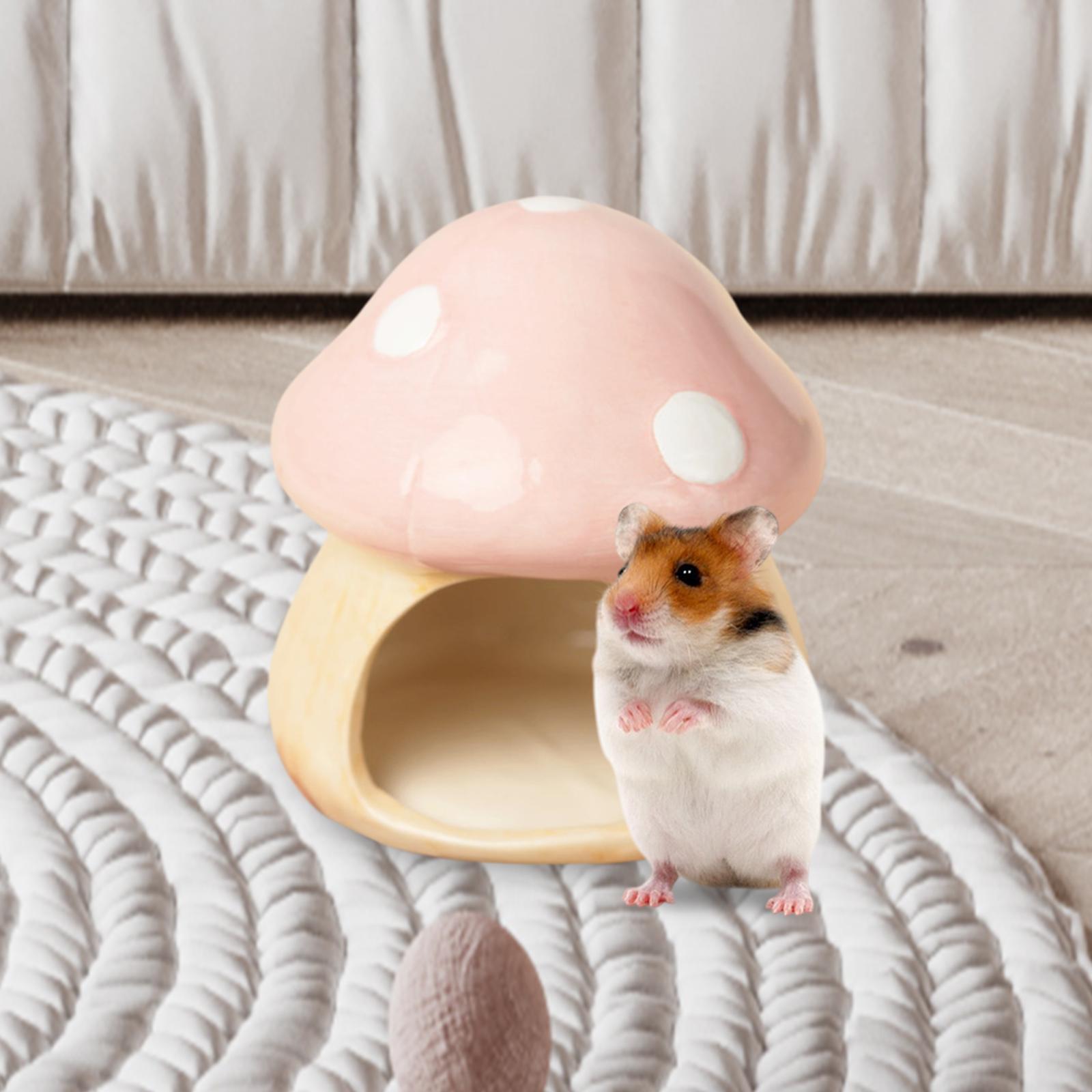 Ceramic Mushroom Hamster Hideo - Hide Cave Ceramic avaliação e preço
