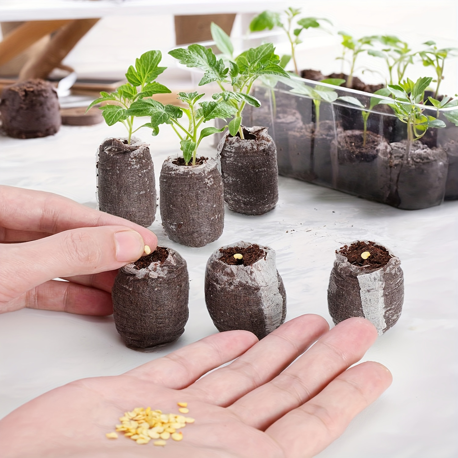 10/20/50pcs Plant Growth Bags  - Substrate Coconut Fiber avaliação e preço
