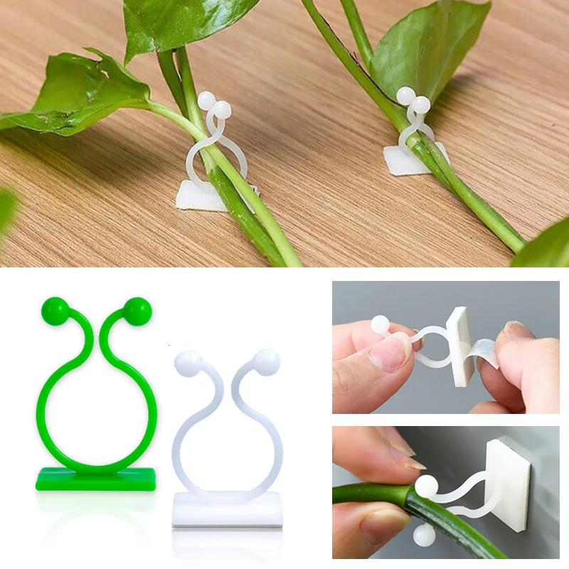 Plant Climbing Wall Self-Adhes - Vine Climbing Plastic avaliação e preço